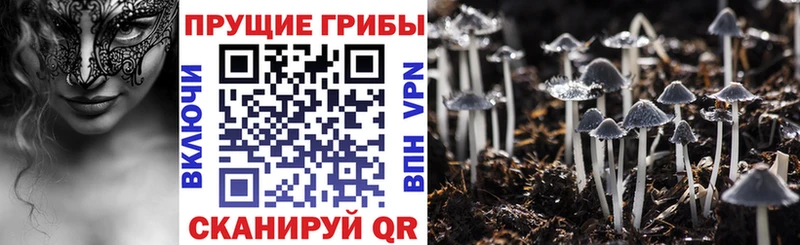 Галлюциногенные грибы прущие грибы  Курлово 